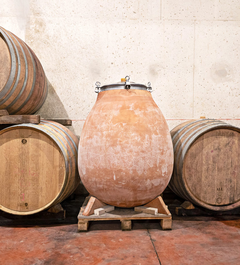 Our terracotta jar in our ageing cellar
